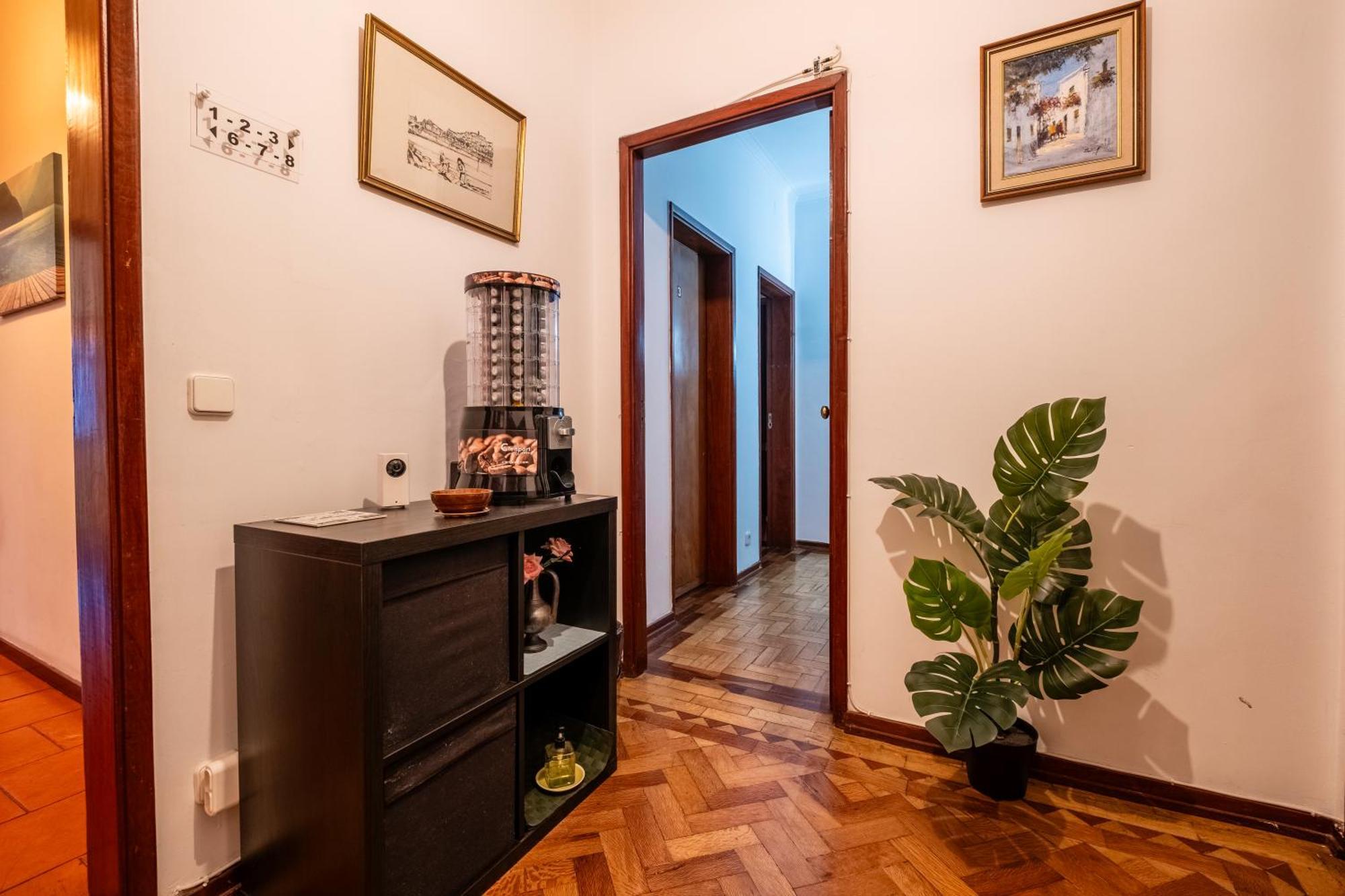Celas Dream Studio Coimbra Zewnętrze zdjęcie